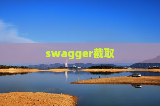swagger截取